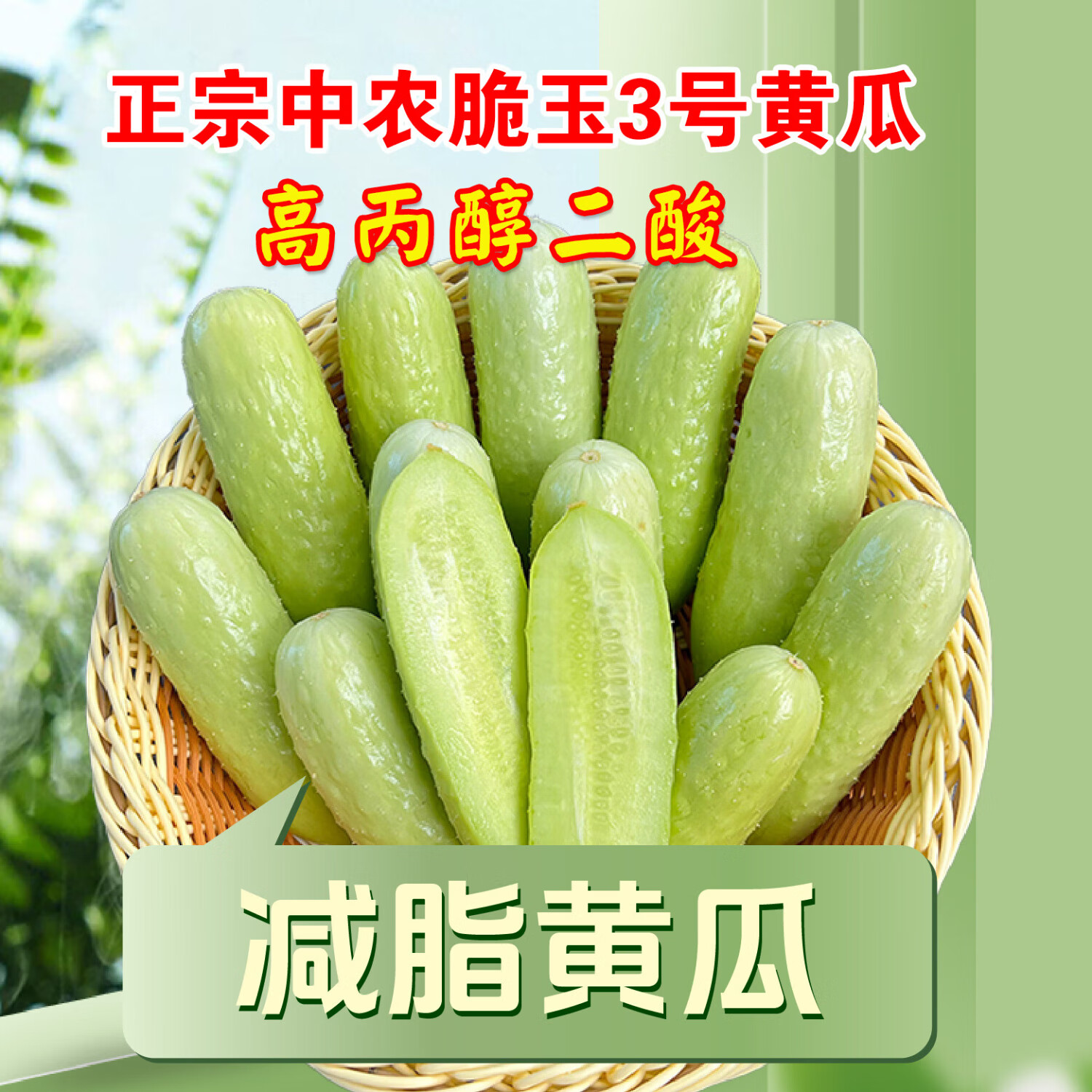 中农脆玉3号黄瓜顺丰包邮生吃脆甜翠玉小黄瓜早摘午发 尝鲜试吃 3斤
