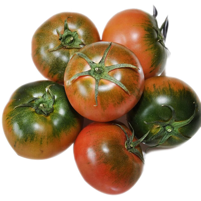 CNUS草莓番茄种子铁皮水果西红柿菜种籽超甜柿子蔬菜种子 草莓铁皮番茄种子【210粒】