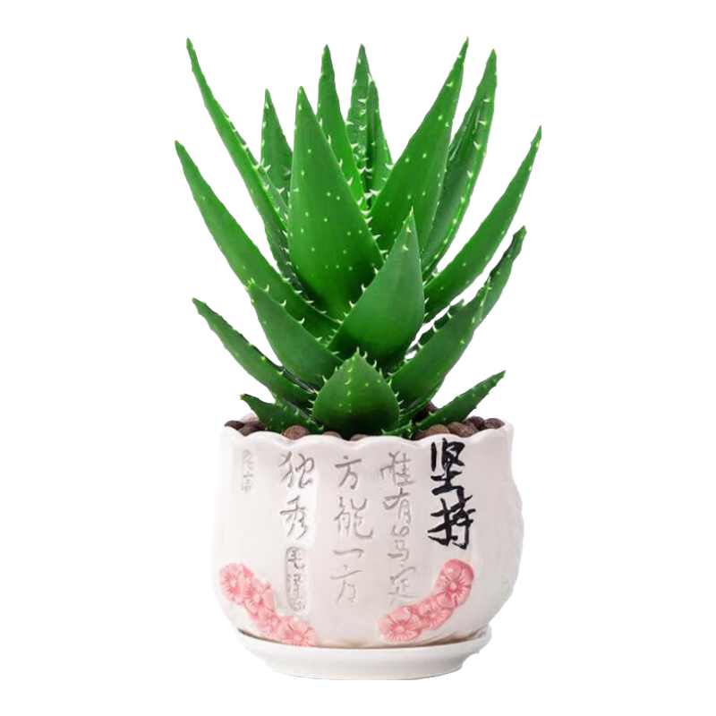 ��«�����Բ�ҹ�Ƕ���ֲ���ͺ�������������̨���ܿ�����«�� «��15-20����+�簲�� 7.79Ԫ