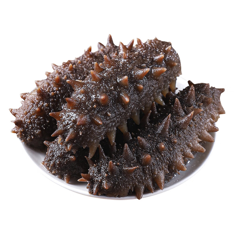 渔游记（YUYOUJI）大连辽参即食海参辽刺参深海底播海鲜水产袋装 【13-15头/斤】9年即食海参500g