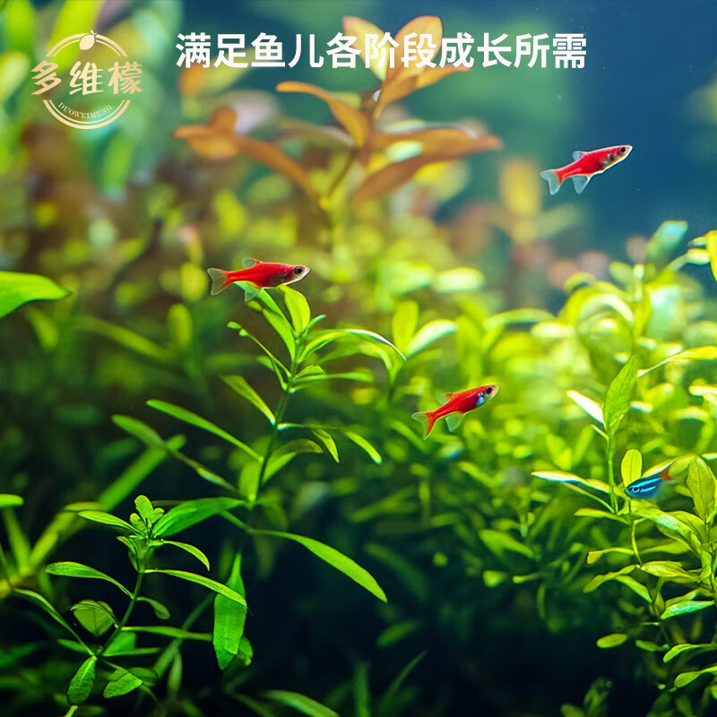 多维檬小型鱼通用高蛋白鱼食孔雀鱼斑马饲料斗鱼观赏鱼粮 1.0mm【8-15cm鱼体】 150mL