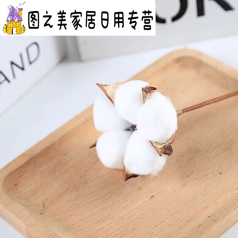 ins网红天然干花束棉花麦穗永生花真花小清新客厅插花装饰摆件 白色