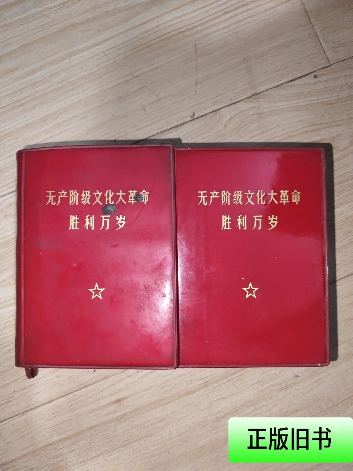无产阶级 胜利万岁 上下册两本全 人民出版社