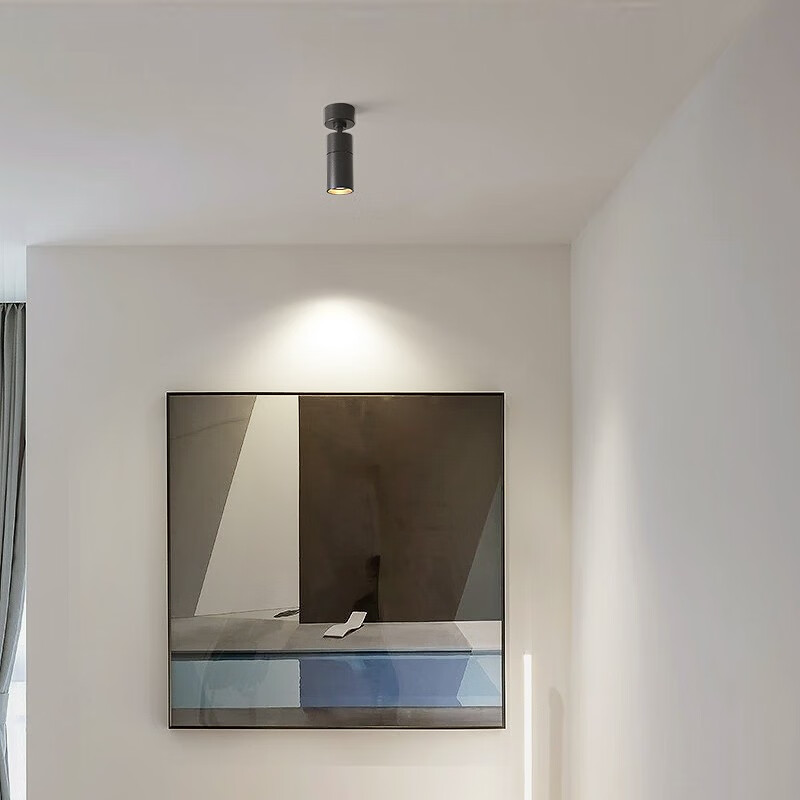 强盾 射灯明装北欧简约客厅背景墙灯艺术无主光源灯具 冠 5*10cm-黑色