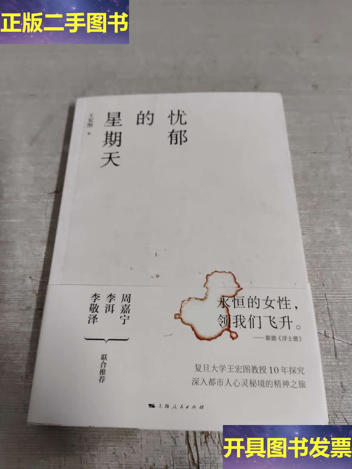 忧郁的星期天 /王宏图 上海人民