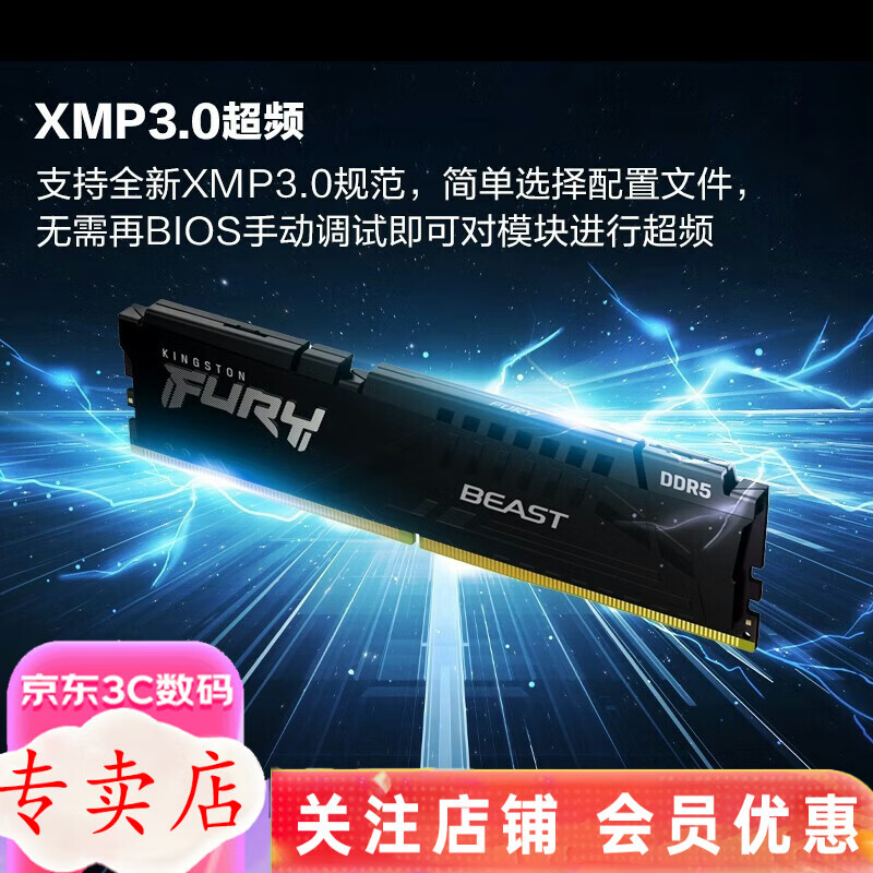 金士顿 金士顿 DDR5 5200 台式机内存条 Beast野兽系列内存 野兽 16G  32G DDR5 32G （16G*2）5200MHz频率