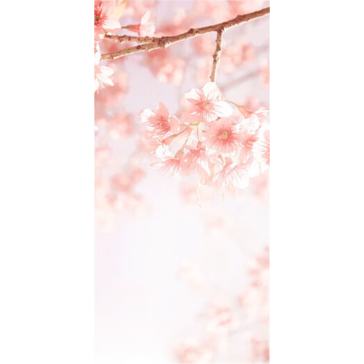 ����ȼ����������С����ѧ������ɰ��๦�ܿɱڹҿ���ѭ������������칫��usb����Я���� ��ӣ�ҷۡ�6��-USBֱ��8.9Ԫ