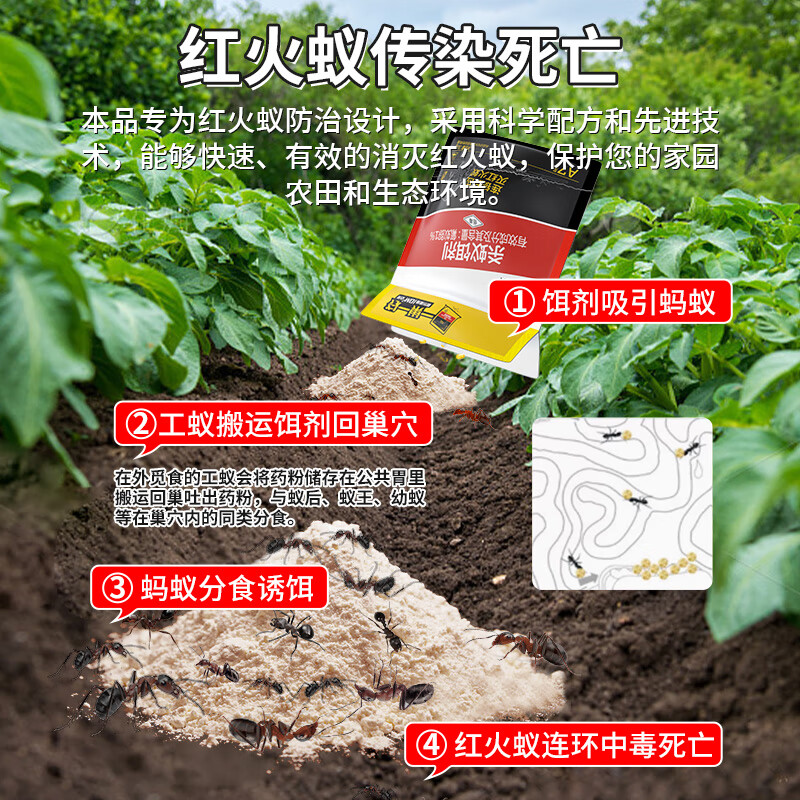 山甲牌蚂蚁药杀蚁胶饵灭蚁饵剂家用室内杀虫剂连环灭红火蚁杀黑黄蚂蚁 A7【30克】灭红火蚁专用