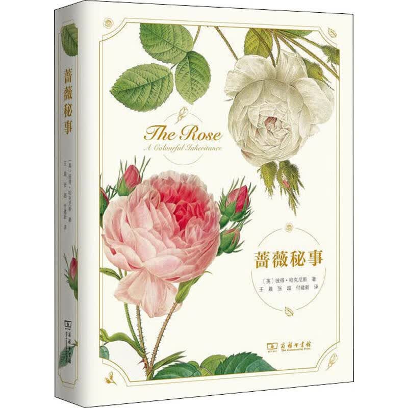 蔷薇秘事(英)彼得·哈克尼斯 