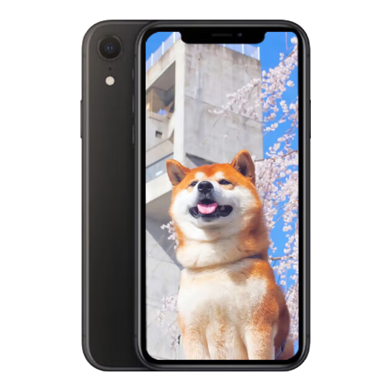 Apple苹果xr 原装屏 99新iPhoneXR 苹果 二手苹果手机 全面屏4G双卡手机 学生拍照 颜色随机 黑色【颜色随机】 128G【电池效率随机】9成新