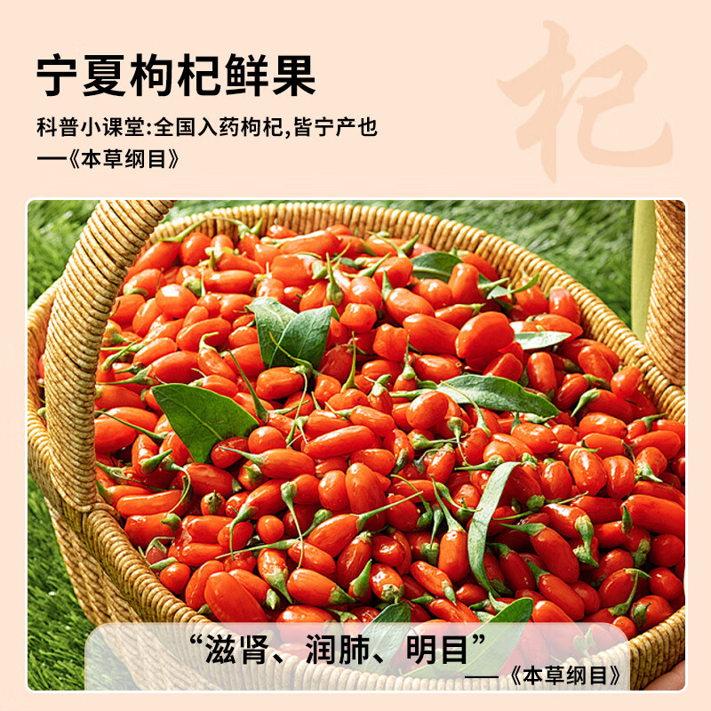 北京同仁堂人参枸杞原浆 人参黄精肉苁蓉原浆口服液 枸杞原浆男性适用 【越喝越苁蓉】2盒(30ml*11袋)