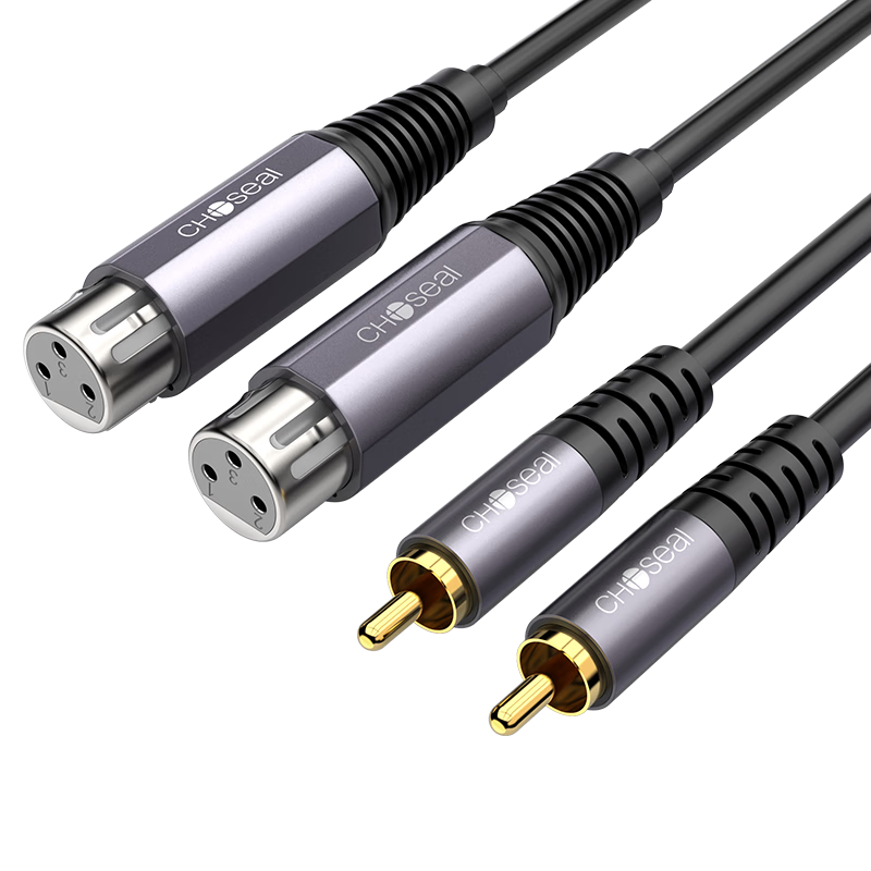 ��Ҷԭ��CHOSEAL�� ˫����ת��ũĸ��Ƶ�� 2RCA��ת2��ٯĸͷ ��˷绰Ͳ����̨����DVD���������� 1�� QS3558T1