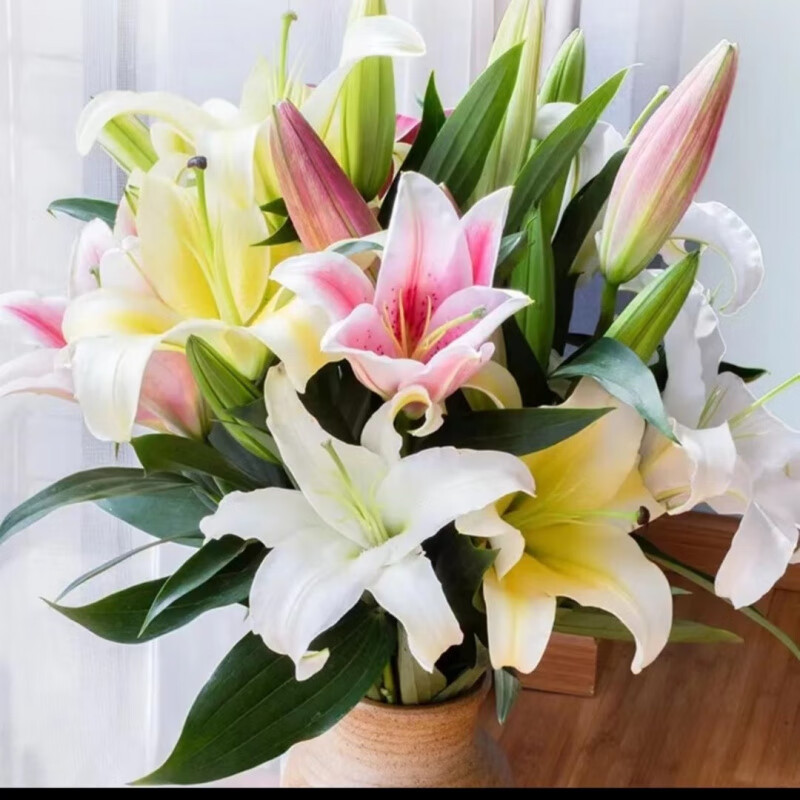 禾之润香水百合花鲜花云南昆明基地直发批鲜切家用水养插花 随机混搭香水百合10朵 关注店铺送进口营养液
