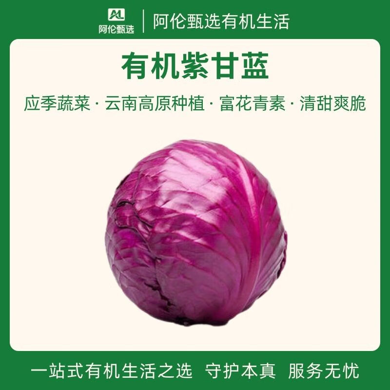 良道天成【有機(jī)紫甘藍(lán)】云南新鮮應(yīng)季無農(nóng)殘帶葉蔬菜農(nóng)產(chǎn)品榨汁甘甜可口 有機(jī)紫甘藍(lán)1.5kg*1箱