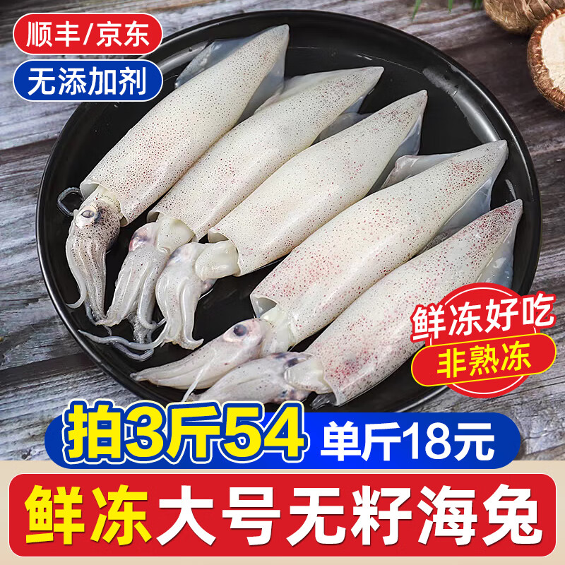 一蝦一世界滿籽海兔 鮮凍帶籽筆管魚籽烏海兔子 小魷魚烏賊火鍋燒烤食材 鮮凍公體 500g(凈重)  【無籽】