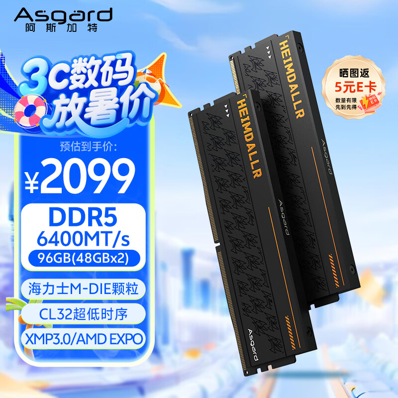 阿斯加特（Asgard）96GB(48GBx2) DDR5 6400 台式机内存条 海姆达尔 马甲条 海力士M-die CL32 黑厚甲