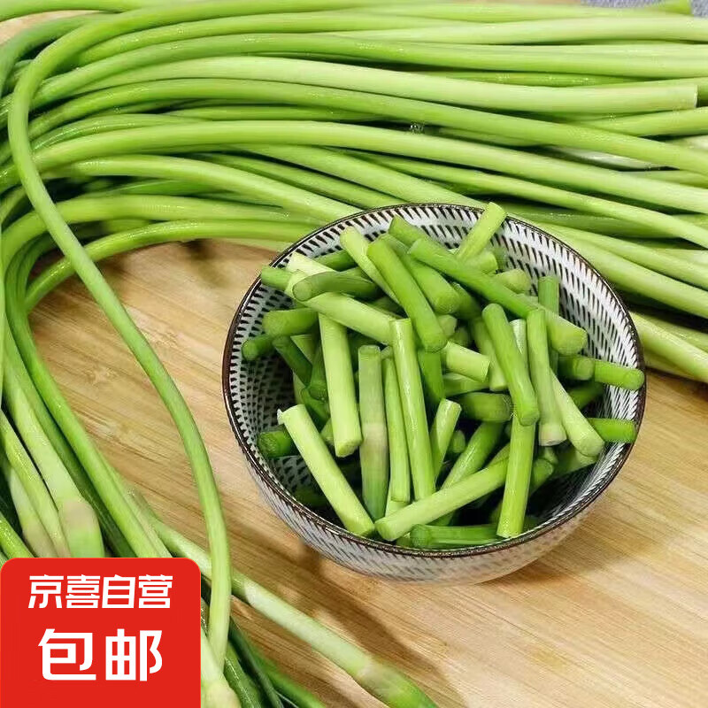 新鲜长蒜苔长度30cm粗细适中色泽饱满高品质蒜苔手感光滑 新鲜长蒜苔 1000g