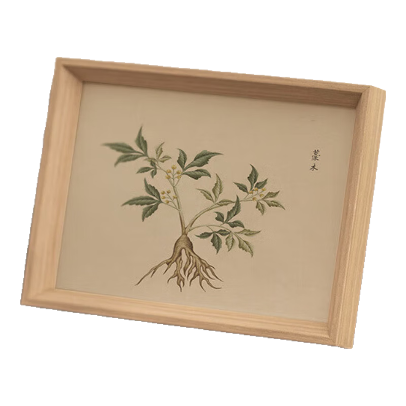 10/5/6ƬƵڷŹǽʾ 6 1װ 3.9Ԫ