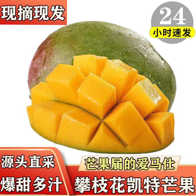 图片8