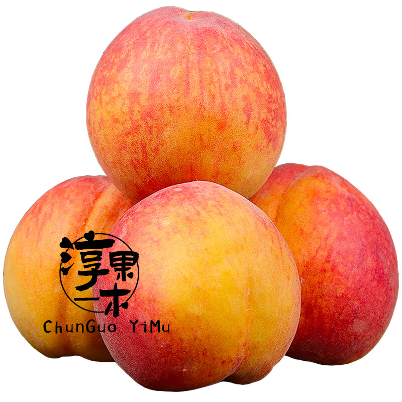 淳果一木 新鲜黄桃 桃子彩虹黄桃 蜜桃子当季应季 毛桃子新鲜水果生鲜水果 5斤带箱(净重4.5-5斤)