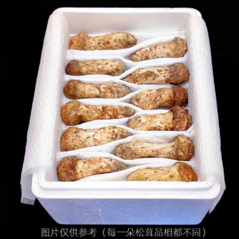 長(zhǎng)白山本地鮮松茸干松茸產(chǎn)地直發(fā)鮮松茸干松茸過(guò)節(jié)禮佳品 7-9cm(1.6斤)速凍松茸 800g