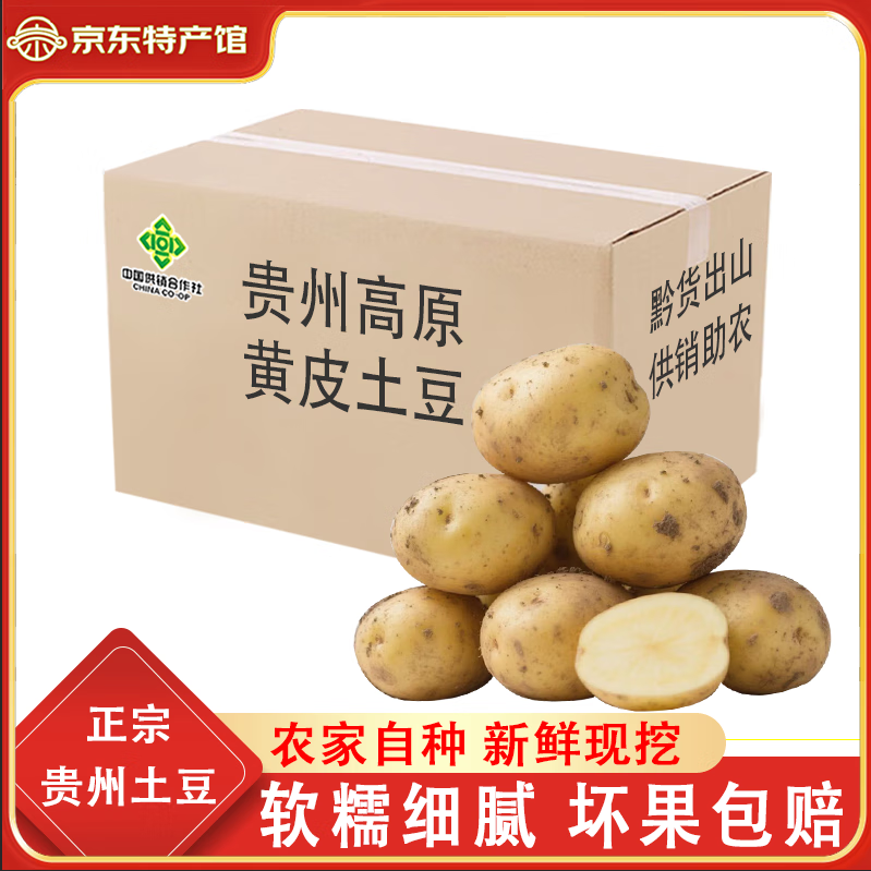 播州鲜现挖土豆新鲜蔬菜高山马铃薯黄皮黄心早餐土豆泥麻辣烫火锅食材 黄皮土豆带箱9斤
