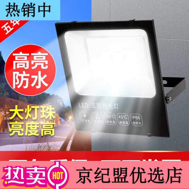 意普頓（EAPUDUN） led投光燈射燈戶外防水庭院燈工地工廠房車間探照室外照明院子燈 豪華款85w100燈珠-照射80平