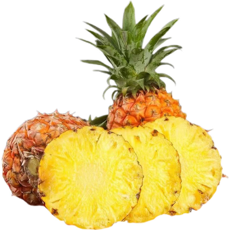 �㶫������ˮ��������ʱ��Ӧ���ȴ�ˮ���и�ˮ��Դͷ����ֱ������ ���ר����1��װ ����1.2���� 2.99Ԫ