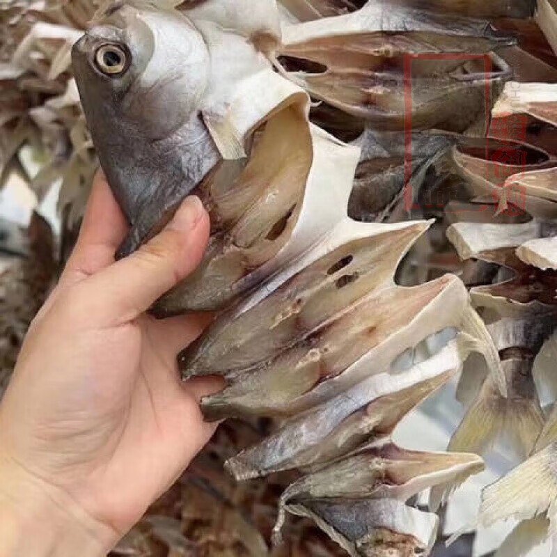 湛江淡晒金鲳鱼干特大号湛江冷冻特产 一条装3-4两