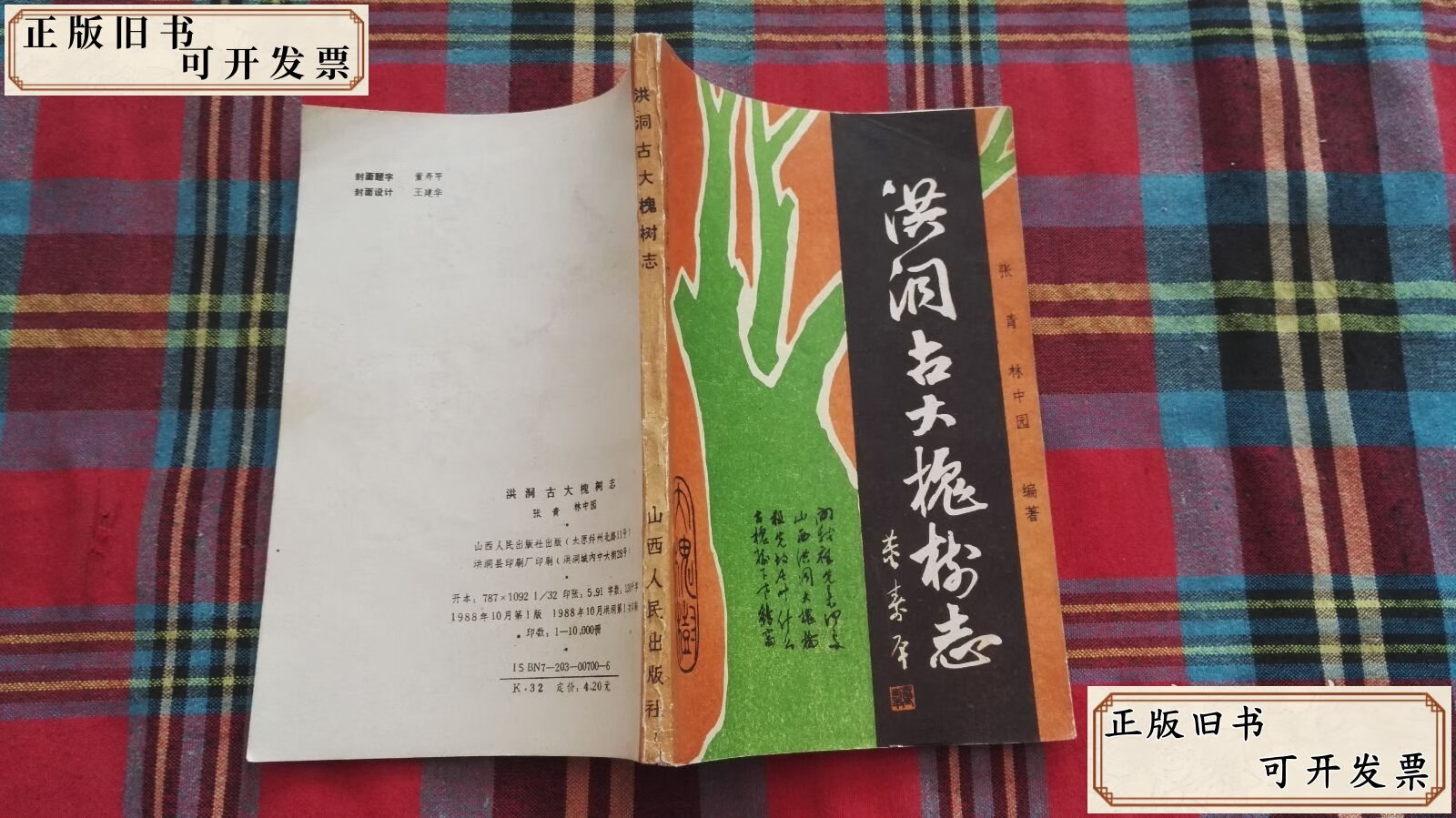 洪洞古大槐树志 /张玉 山西人民出版社