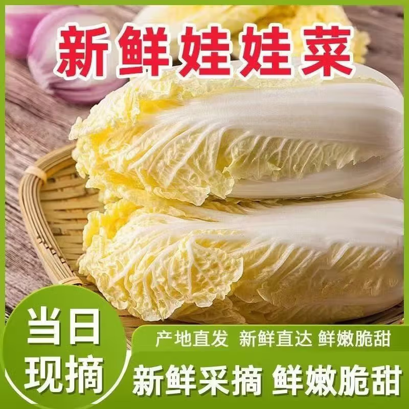 云南高原娃娃菜新鲜蔬菜生鲜乾隆白菜早餐火锅必备京东买菜 浅黄色 新鲜娃娃菜3颗装*1包