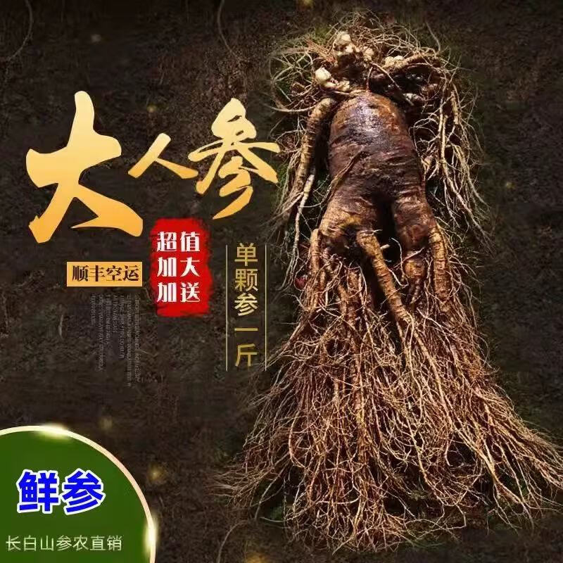 灵壹禾吉林特大新鲜现挖人参带土新鲜人参煲汤山参一斤发顺丰 精选新鲜带泥巴人参 225g*1盒