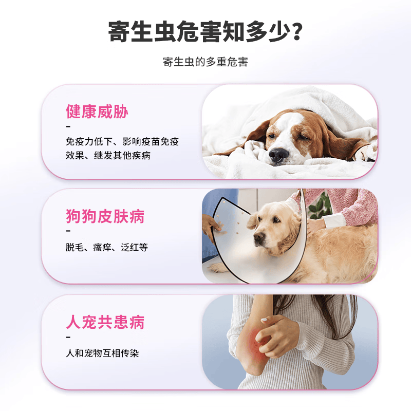 中牧股份CAHIC央企品质 狗狗体外驱虫3支装 驱虫药 外驱 易滴清 送搭爪犬粮 3支(适用10-20kg狗狗) 2ml*1支