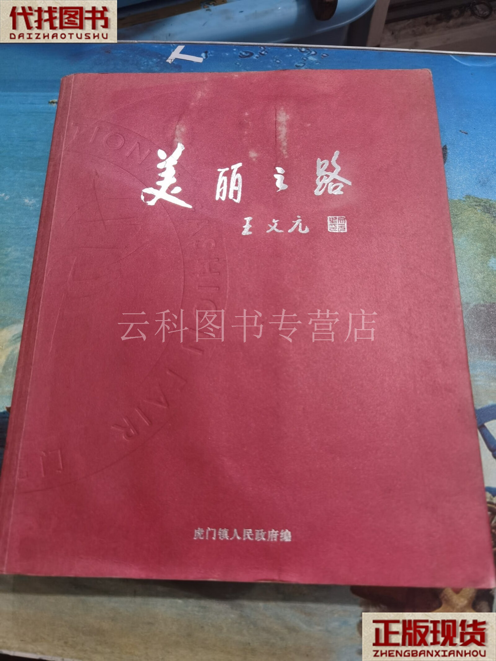 美丽之路 王文元 虎门镇人民政府 二手书
