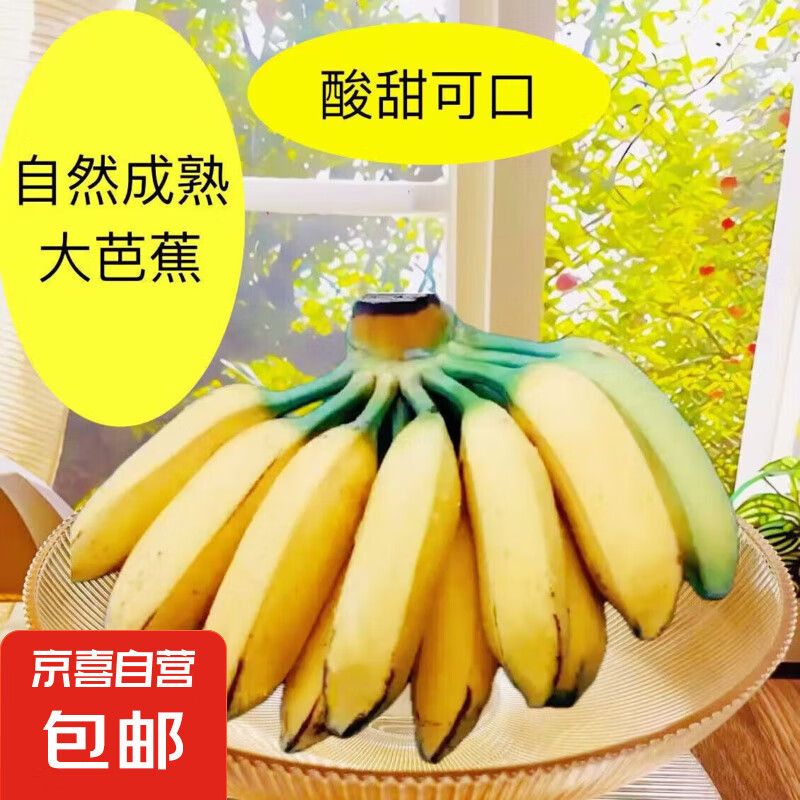 原生态芭蕉 酸甜可口 产地直发 芭蕉2斤 1000g 酸甜开胃