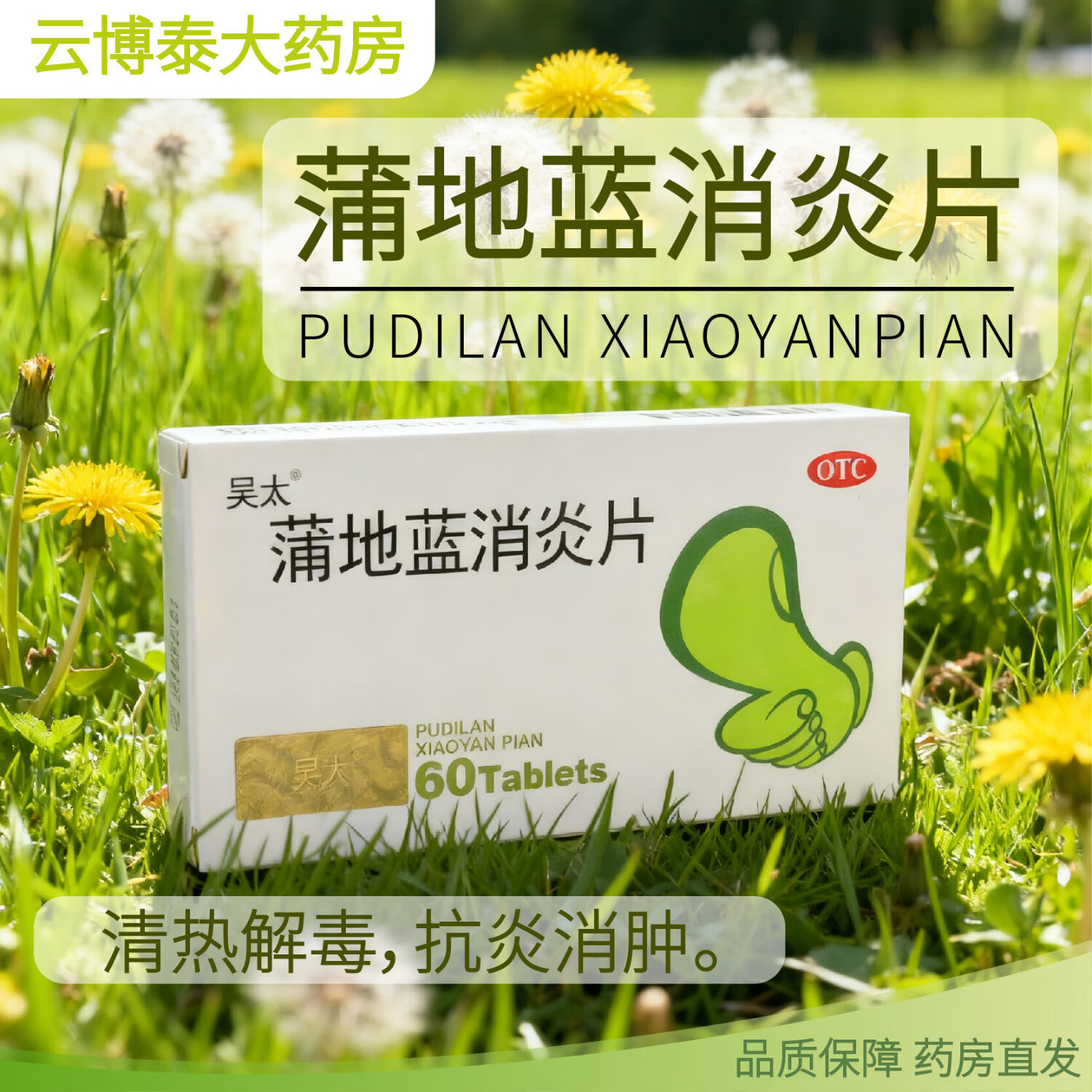 蒲地蓝消炎片 0.3g*60片 1盒装 0