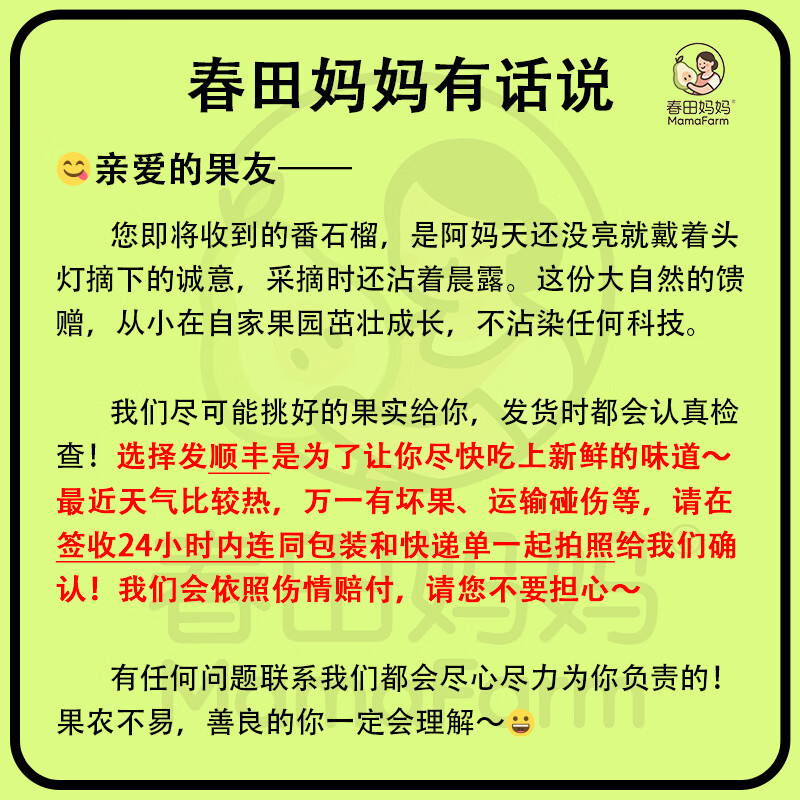 【低糖高维C】产地直发 广东新鲜糖尿病水果白心甜脆番石榴芭乐 【推荐买】5斤|S级臻选当天采摘