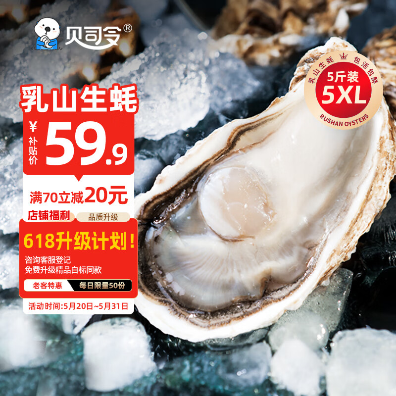 贝司令（BEISILING）【源头直发】鲜活乳山生蚝牡蛎贝类聚会烧烤5XL净重5斤 端午聚餐