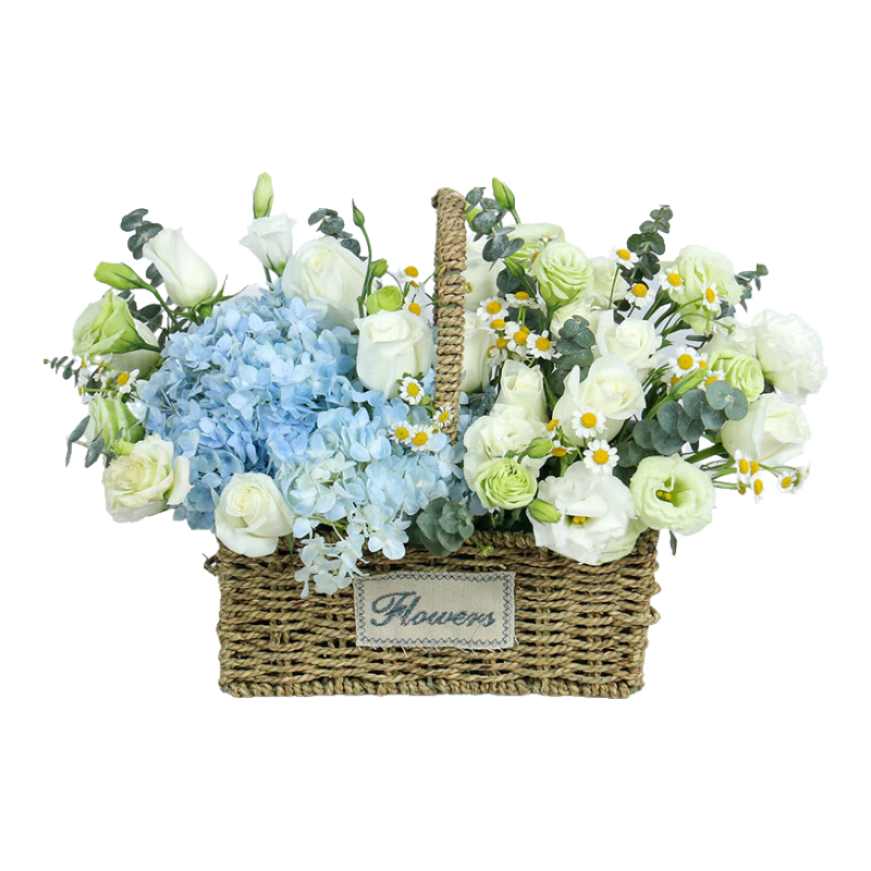 領(lǐng)香鮮花速遞向日葵玫瑰花繡球手提花籃喬遷開業(yè)生日祝福全國同城配送 19朵白玫瑰繡球混搭手提花籃
