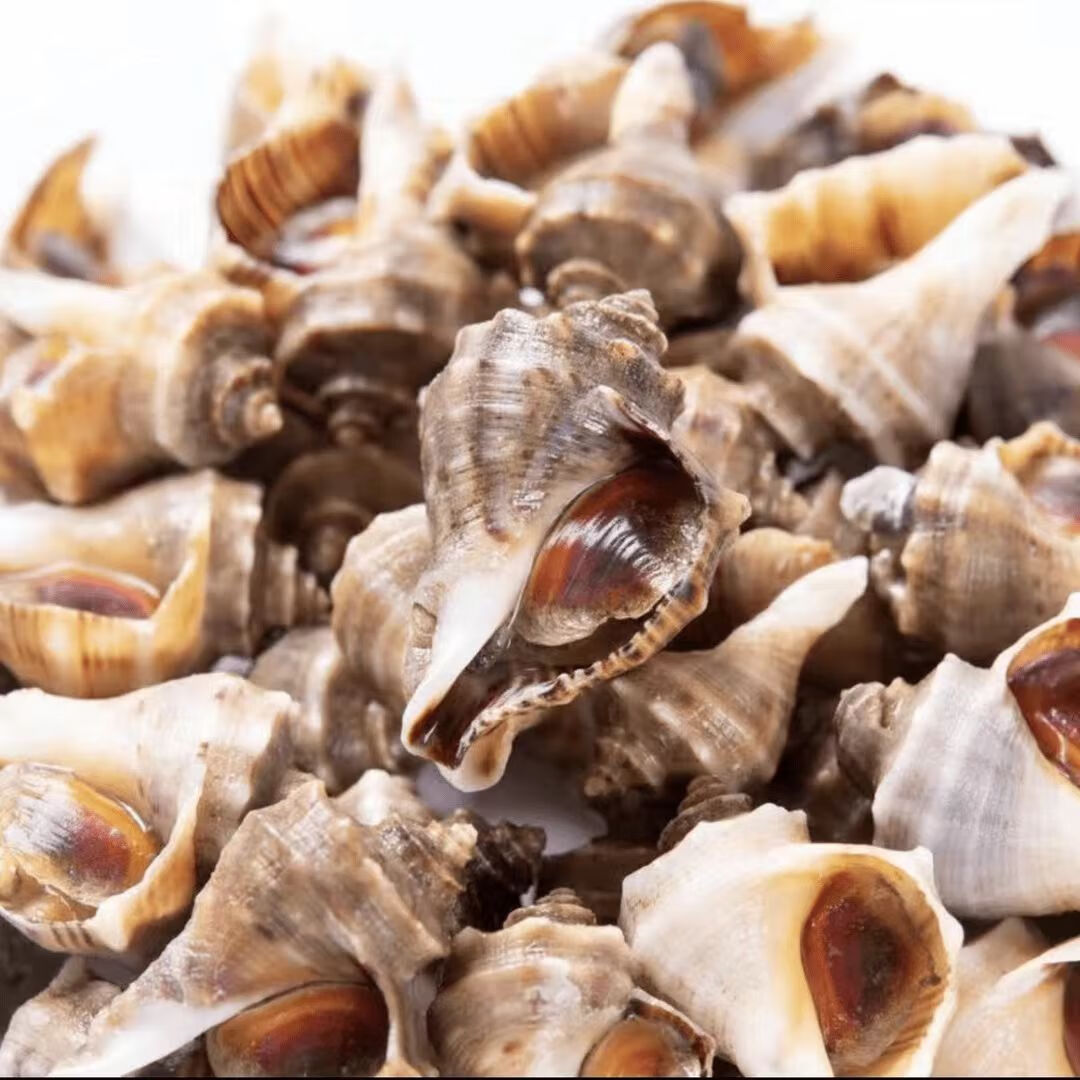 ζ�Ÿ��ֲ��ַ� С���� �ʻ�� ����ˮ�� ���ݱ��� Ұ�� С�� �� 0.5kg �ʻ��