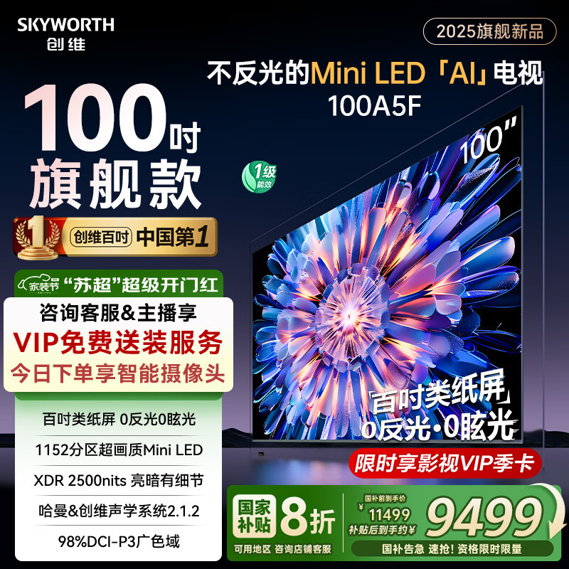 SKYWORTH/��ά ���� 100A5F 100Ӣ�� A5F 