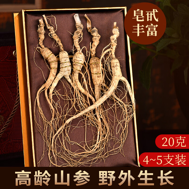 胖東來品質(zhì)人參禮盒送禮人參野山參20年長白山林下參東北野人參干 18年林下參禮盒裝20克 精挑細(xì)選 20g