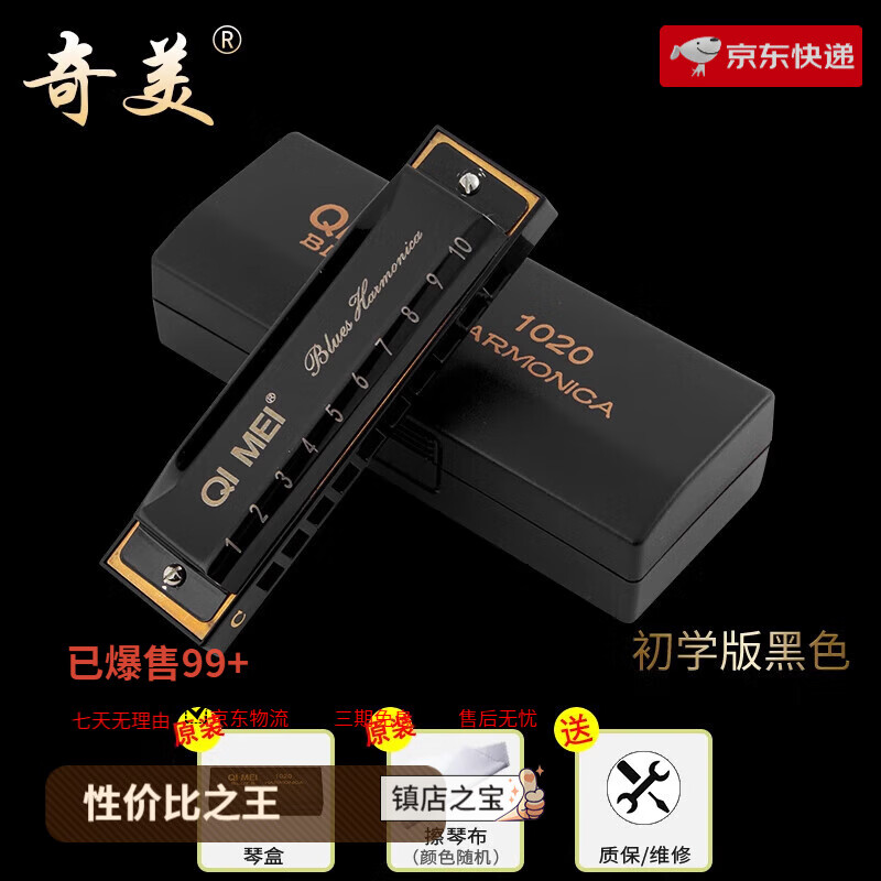 奇美布魯斯口琴10孔小學(xué)生用初學(xué)者兒童入門(mén)C調成人十孔藍調口琴 【初學(xué)版】黑色_標配