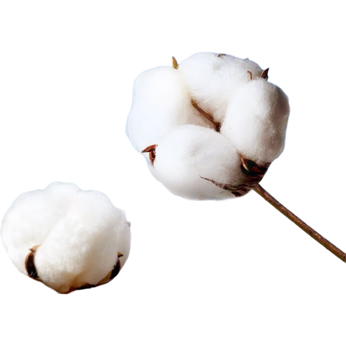 �߽�˿��ѡ6�����������������ѡ����˯ȫ������ҹ�ö��ֿ� ������280mm6Ƭ 29Ԫ����4.83Ԫ/����