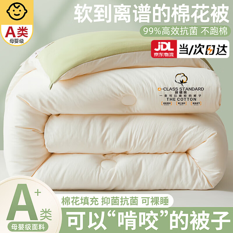 红蜻蜓（RED DRAGONFLY）A类新疆棉花被子冬被加厚冬季被芯200x230cm宿舍保暖棉被褥8-10斤 新疆-绿拼白【亲肤透气 不跑棉】 200x230cm暖冬被 【重约6斤】