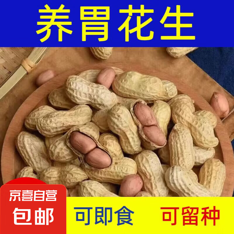 粉皮花生 花生米 带壳花生生花生农家自产熬粥煲汤五谷杂粮 带壳生花生3斤