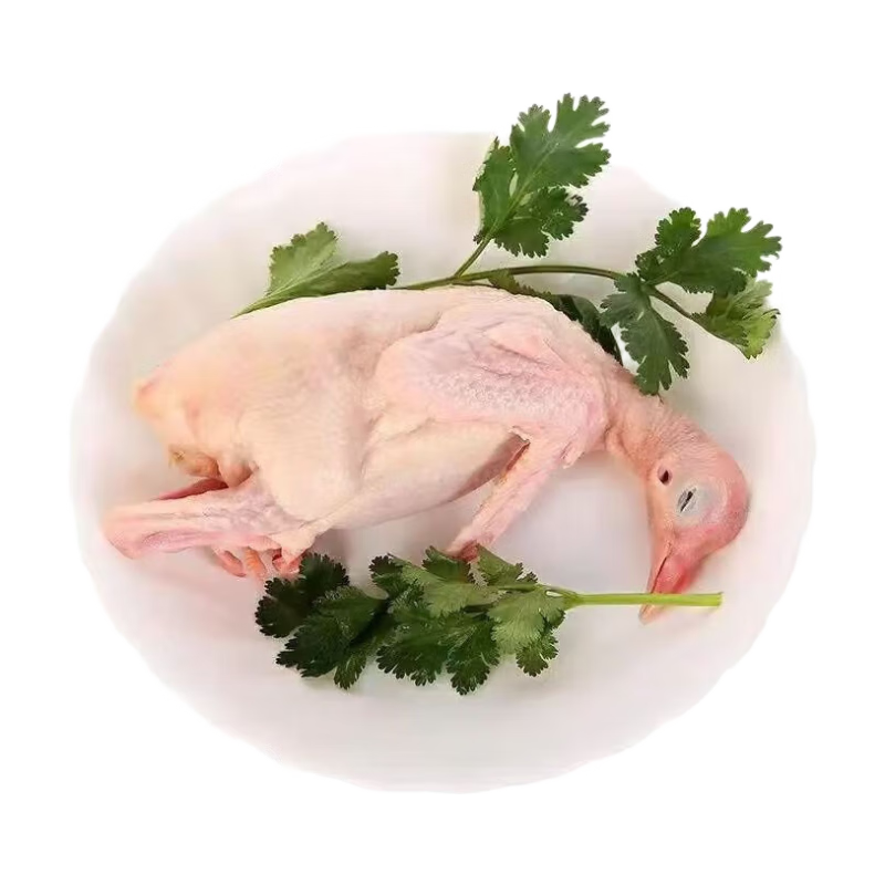 ũɢ צֻʳ 㡾3ֻװ ɢ1ֻ5-6 23.1Ԫ(ȯ)