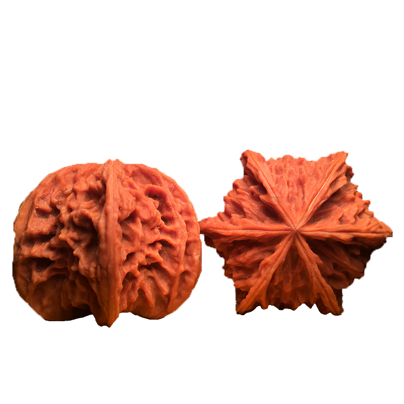 ���ڲ�����ɽ�����������������ʨ��ͷ���ͷ�Ƽ������ñ�Ѽ������������������ ��Ȼ��ɽ����41mm1��+8����