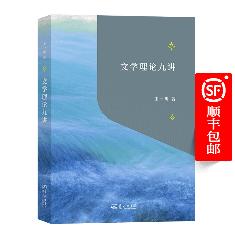 文学理论九讲（“教育援青”人文学科基础建设系列）