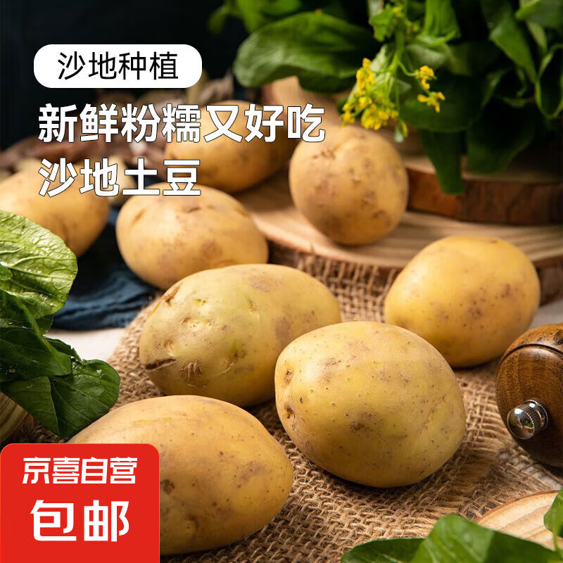疯抢土豆新鲜现挖2024新土豆农家马铃薯黄皮黄心 黄心土豆小果 5斤(净重)